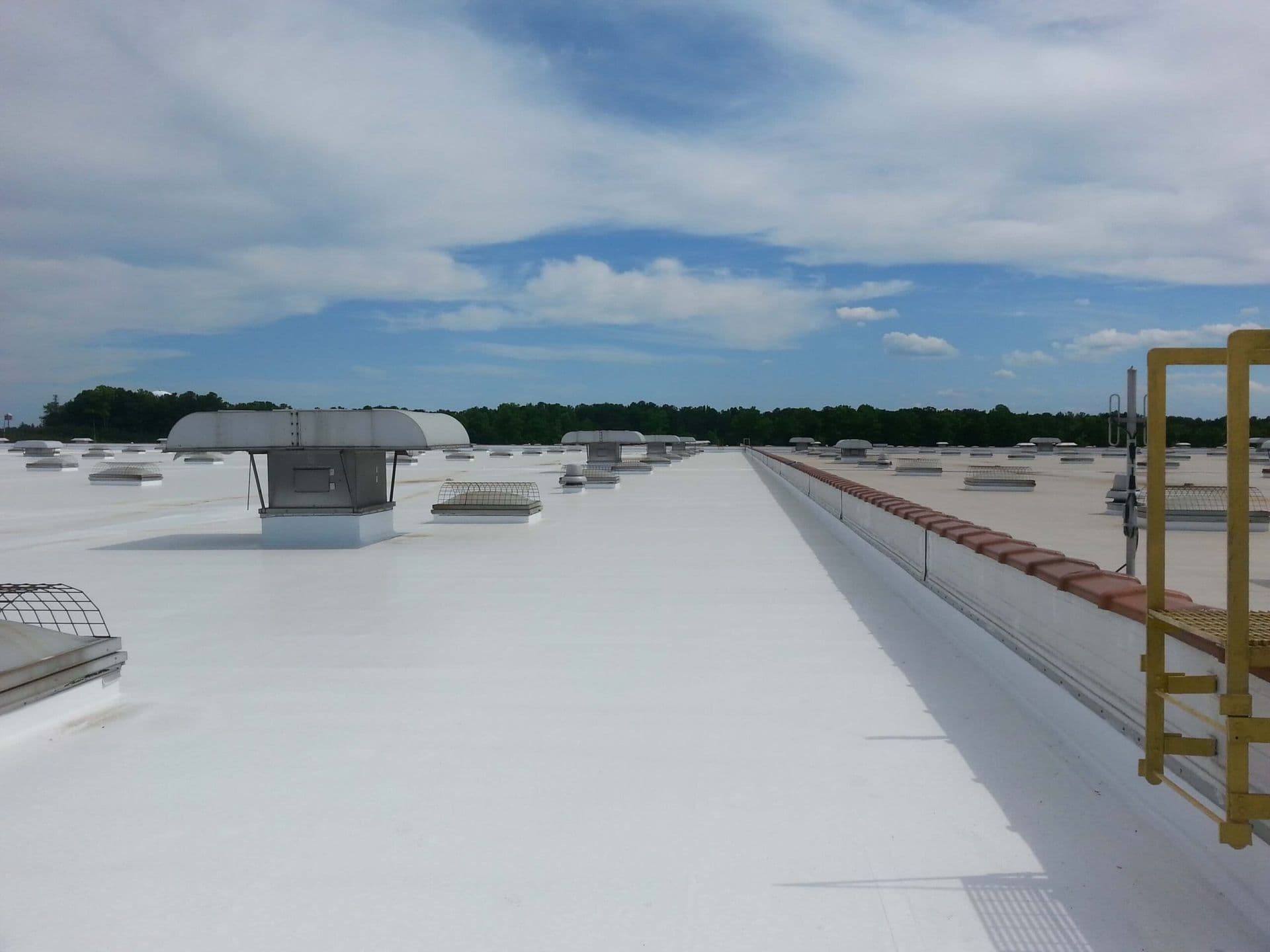 imgi_33_flatroof1-scaled.jpg